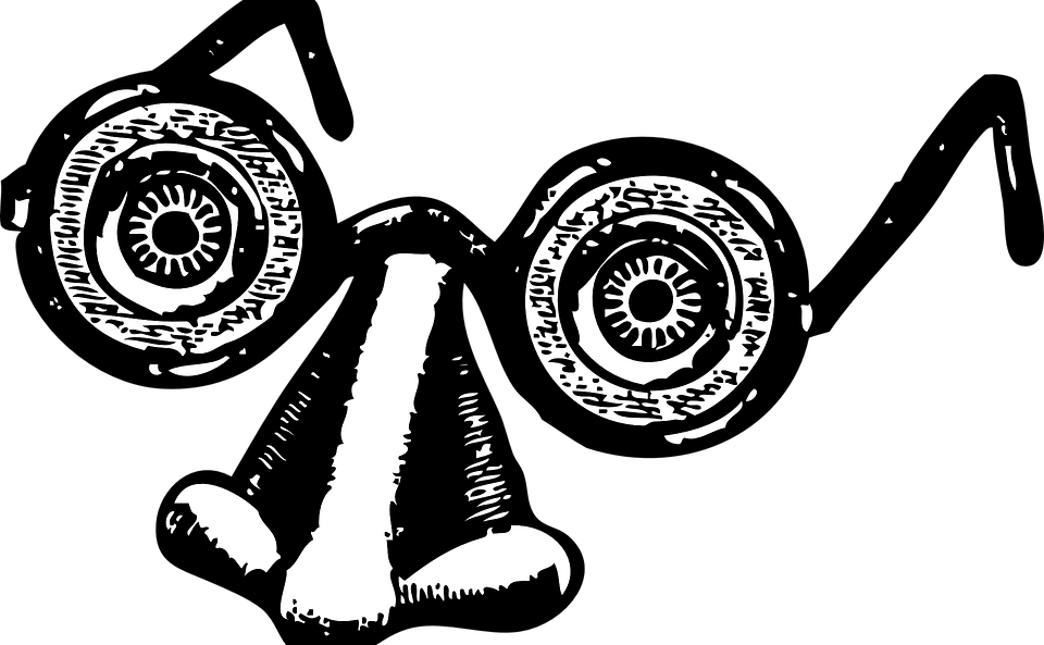 maschera buffa con naso grosso che richiama idea di inganno