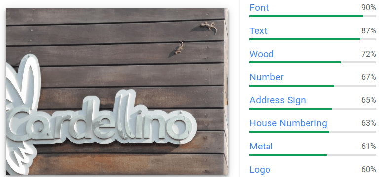 immagine-interpretata-da-google