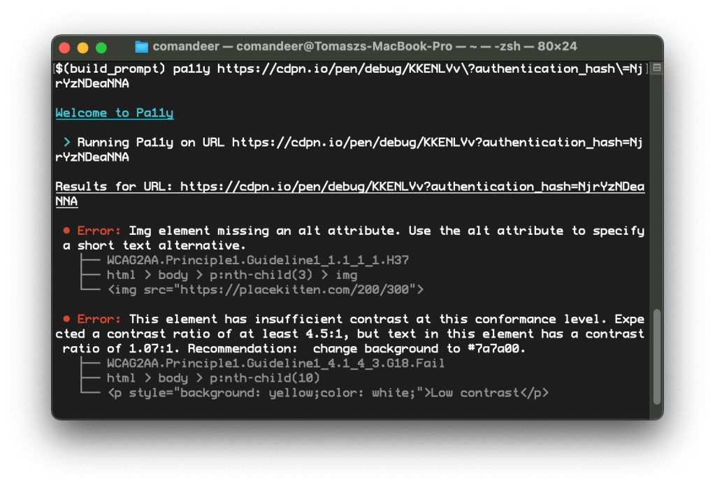 pa11y ricorda di utilizzare l'attributo alt per le immagini e consiglia un colore per lo sfondo diverso per rispettare la normativa sui contrasti